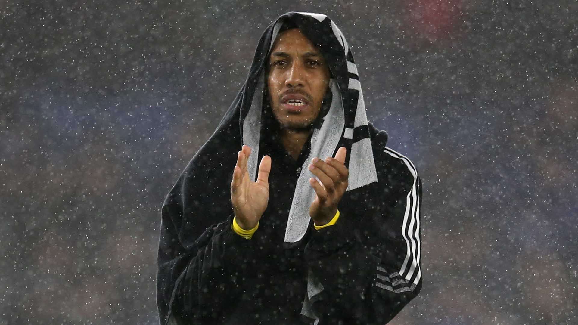 在这届世界 在这届世界