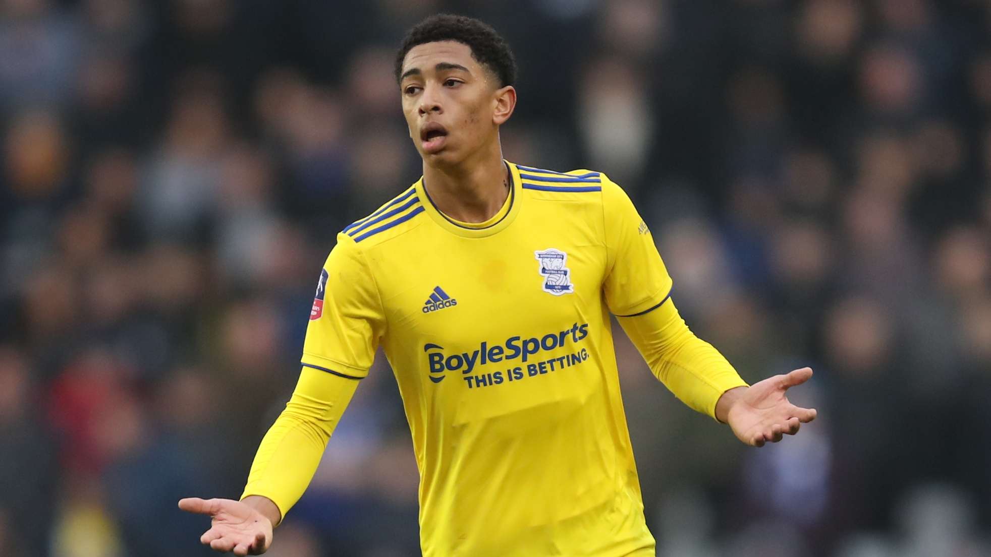 但球队仍需 但球队仍需